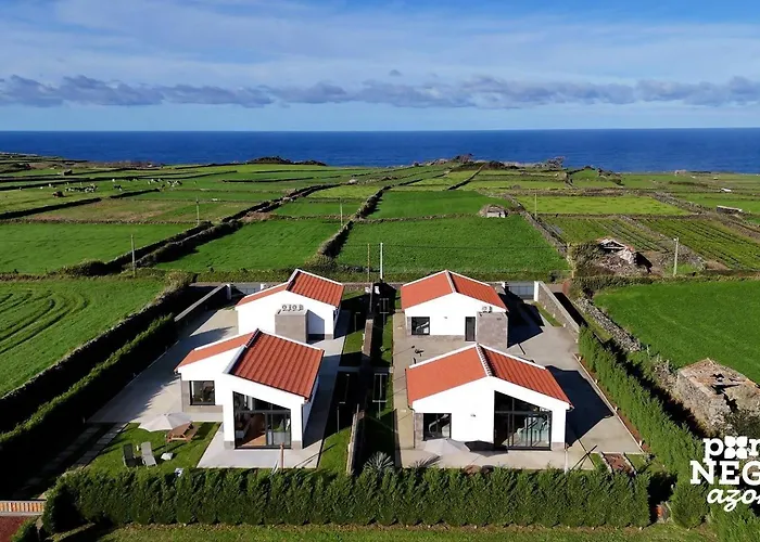Beer House By Pontanegraazores