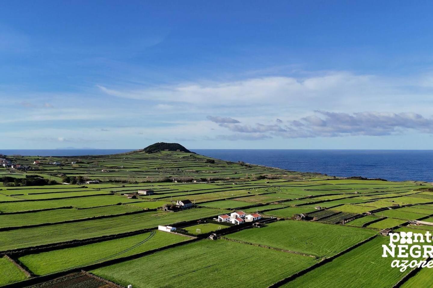 Beer House By Pontanegraazores Holiday home *